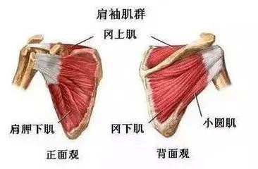 如何通过篮球表演赛制定有效的训练计划_2
